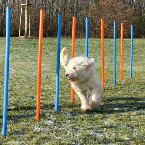 Trixie Dog Activity Agility szlalom akadály játék kutyáknak 12db 115x3cm