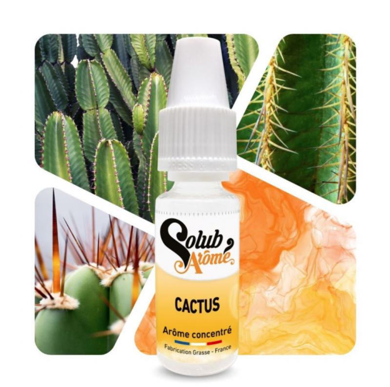 ( 024.-)  Solub - Cactus  10ml