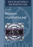 Büntetés-végrehajtási jog