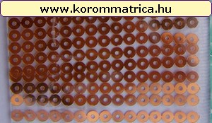 Flitterbortni - bronz