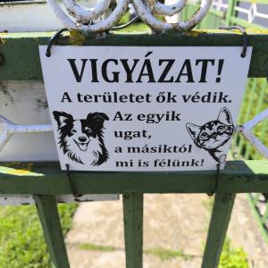 Házörző kutya - macska