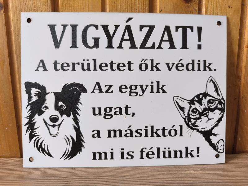 Házörző kutya - macska