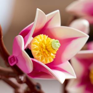 LEGO® Botanicals - Magnóliaágak | #11510