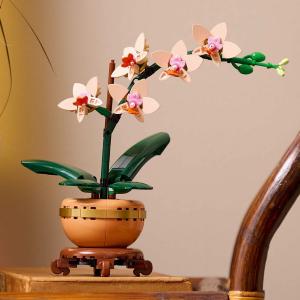 LEGO® Botanicals - Mini orchidea | #10343