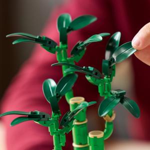 LEGO® Botanicals - Szerencsebambusz | #10344
