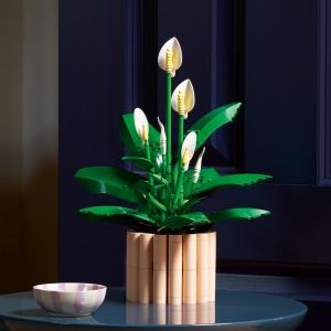 LEGO® Botanicals - Vitorlavirág | #11504