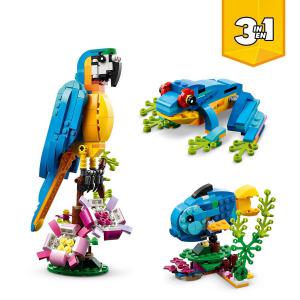 LEGO® Creator 3-in-1 - Egzotikus papagáj | #31136
