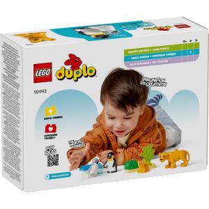 LEGO® DUPLO® - Állatcsaládok a vadvilágban: Pingvinek és oroszlánok | #10442