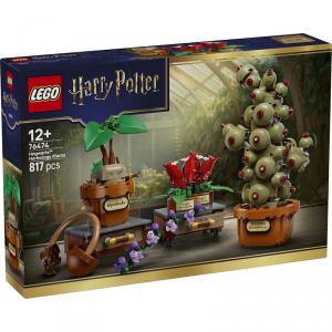 LEGO® Harry Potter™ - A Roxfort™-i gyógynövénytanóra növényei | #76474