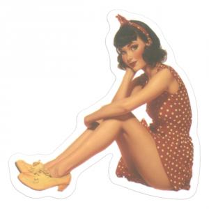 Pin-Up Girls 41