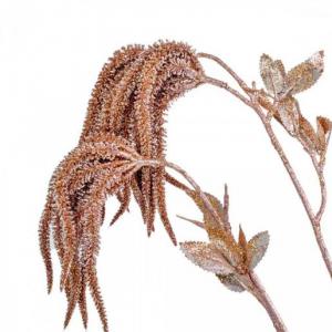 Glitteres dekor ág rosegold 85cm