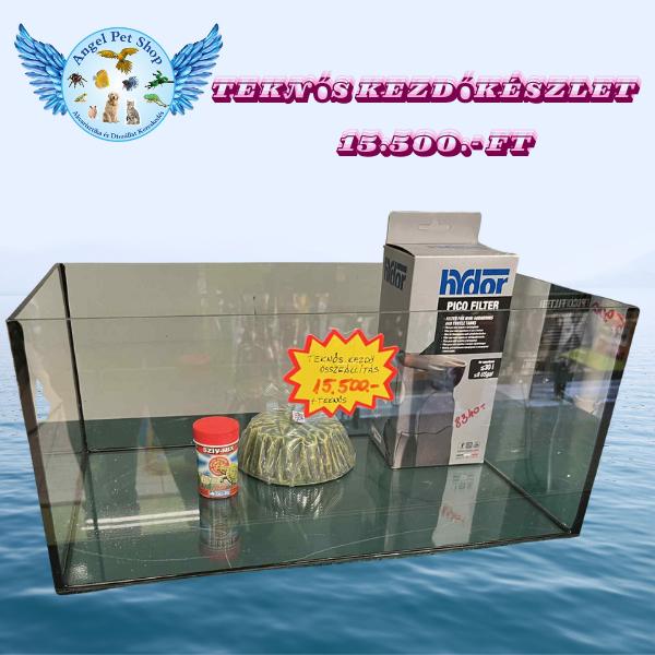 Teknős kezdőkészlet.