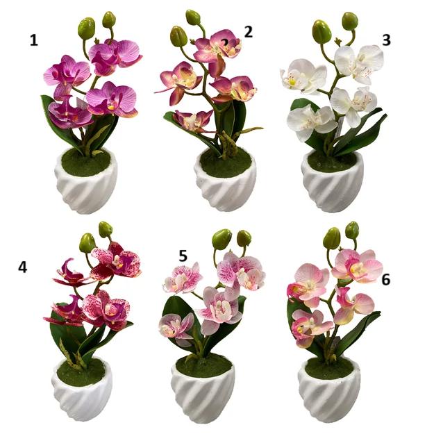 Cserepes selyem orchidea gumi levéllel 20cm választható