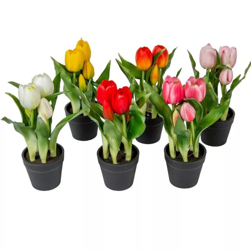 Cserepes tulipán gumi 5v. mix M22cm