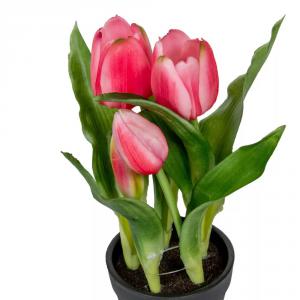 Cserepes tulipán gumi 5v. mix M22cm