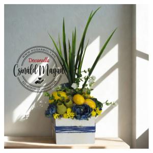 DIY Csináld magad - Citromkert harmónia dekoládában