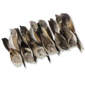 Drótos madarak 12db/doboz