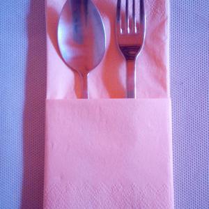 Egyszerű zseb tissaue