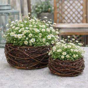 Fonott inda tál barna 20x11cm