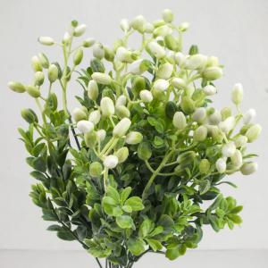 Hipericum csokor fehér 1db