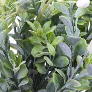 Hipericum csokor fehér 1db