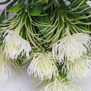 Mini protea csokor fehér 1 db