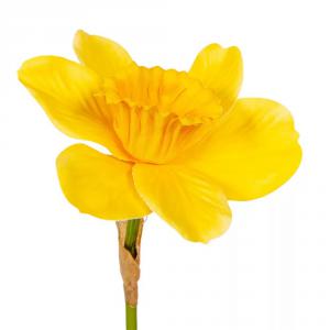 Nárcisz szálas gumi M40cm