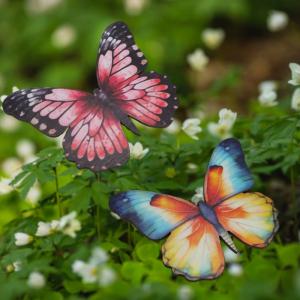 Nyomtatott dekorkarton - Színes pillangók 4db