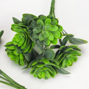 Pozsgás csokor zöld 1db