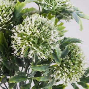 Sedum csokor fehér 1db