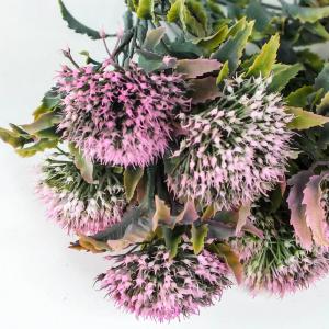 Sedum csokor rózsaszín 1db