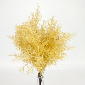 Szárazvirág hatású aszparágusz csokor Többféle színben