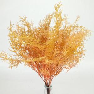 Szárazvirág hatású aszparágusz csokor Többféle színben