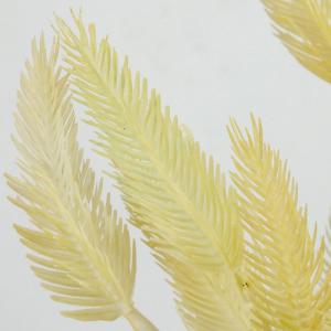 Szárazvirág hatású tollvirág csokor krém 1db