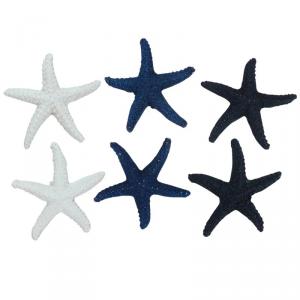 Tengeri csillag csomag 6db/csomag