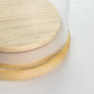 Üvegbúra fa talppal – 6,5×15 cm