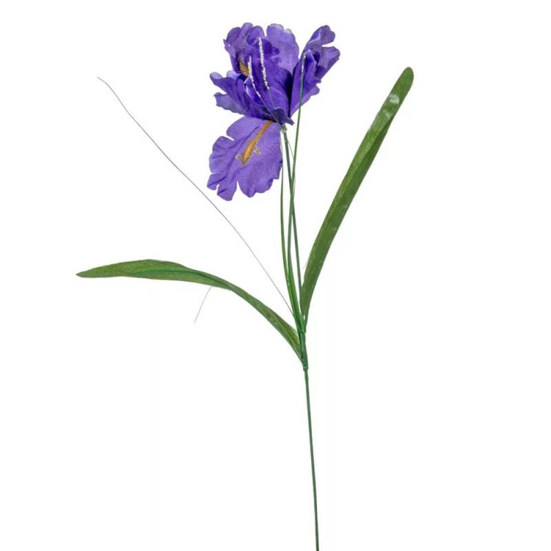 Írisz szálas lila M47cm 12db/köteg