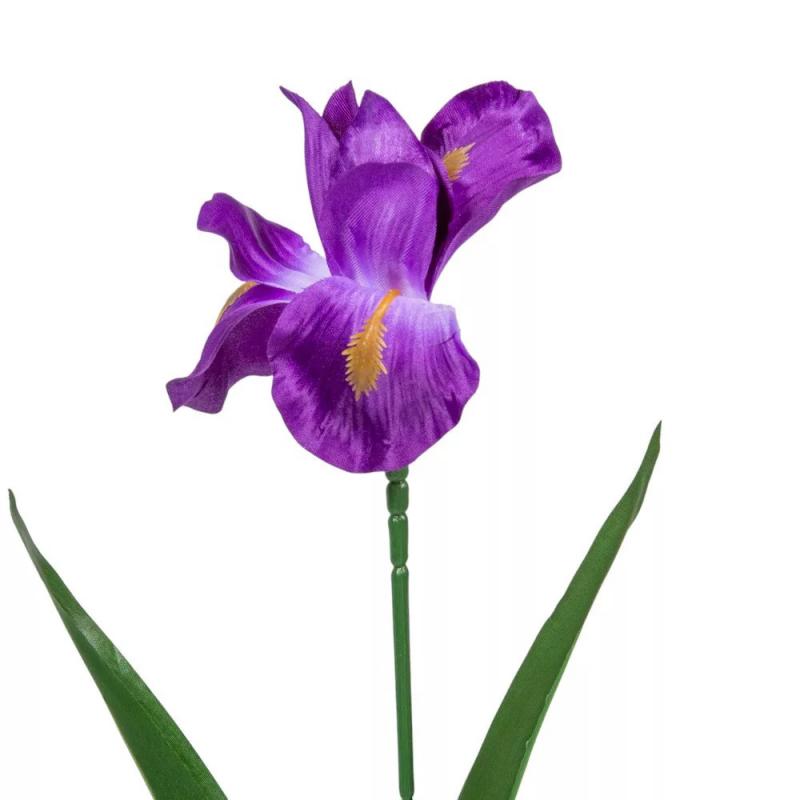 Irisz szálas M58cm lila