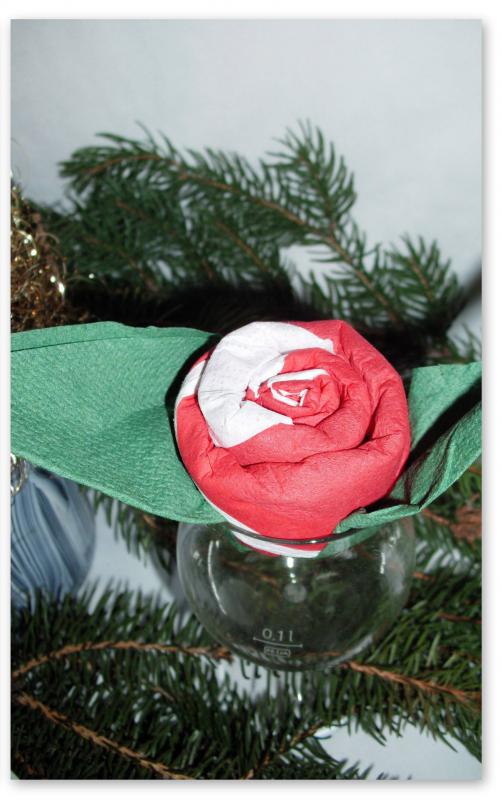 Kétszínű rózsa tissue