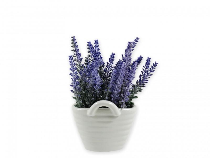 Levendula fehér kaspóban mű 18cm