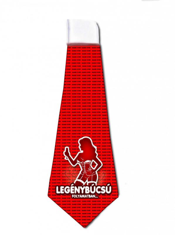 Nyakkendő 37x13 cm - Legénybúcsú folyamatban - Legénybúcsús Ajándékok