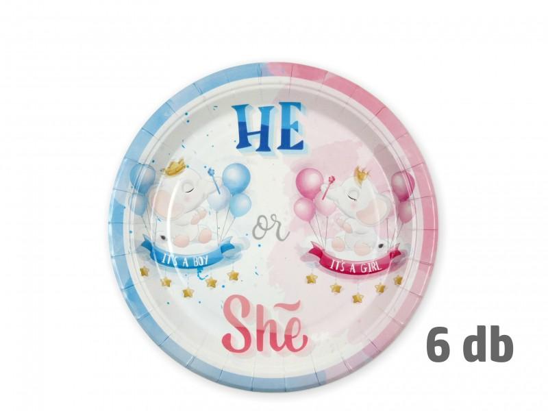 Papírtányér He or She 6db 22,5cm