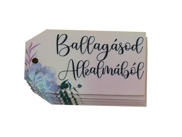 Tábla fa Biléta-ballagásod alkalmából (rózsaszín) 3,7*6,9cm LV