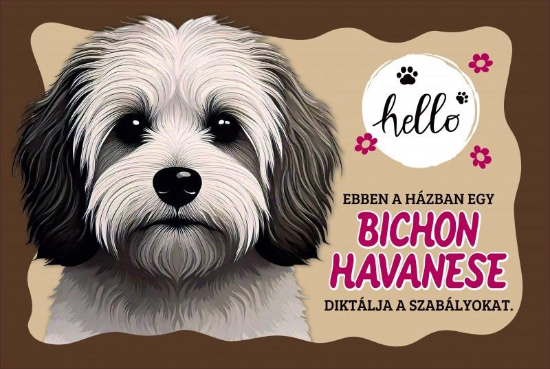 Tálalátét - lábtörlő Bichon Havanese kutyás 60x40cm