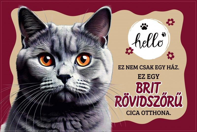 Tálalátét - lábtörlő Brit Rövidszőrű cicás 60x40cm