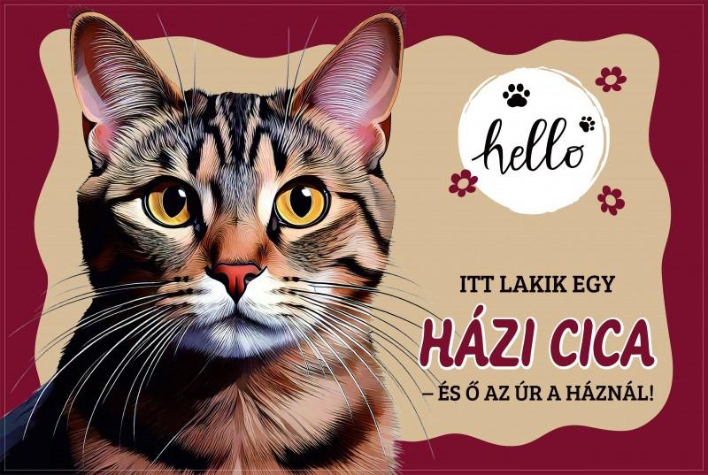 Tálalátét - lábtörlő Házi cicás 60x40cm