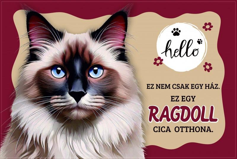 Tálalátét - lábtörlő Ragdoll cicás 60x40cm