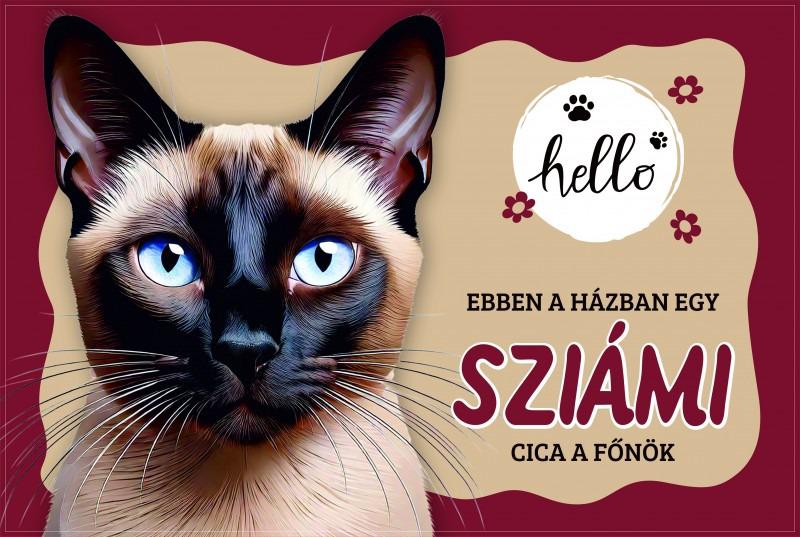 Tálalátét - lábtörlő Sziámi cicás 60x40cm