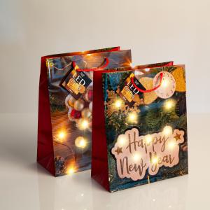 Ajándéktasak - 10 melegfehér LED, papír - 265 x 127 x 330 mm - 2 féle választható