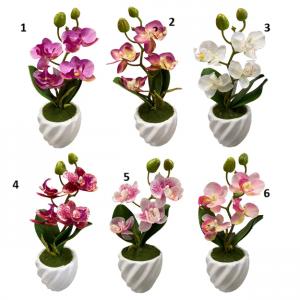 Cserepes selyem orchidea gumi levéllel 20cm választható